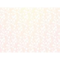 Birthday Bunting Me to You Bear Birthday Card Extra Image 1 Preview